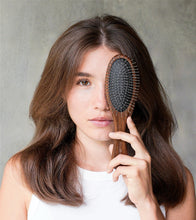 Load image into Gallery viewer, Walnut Detangling Brush