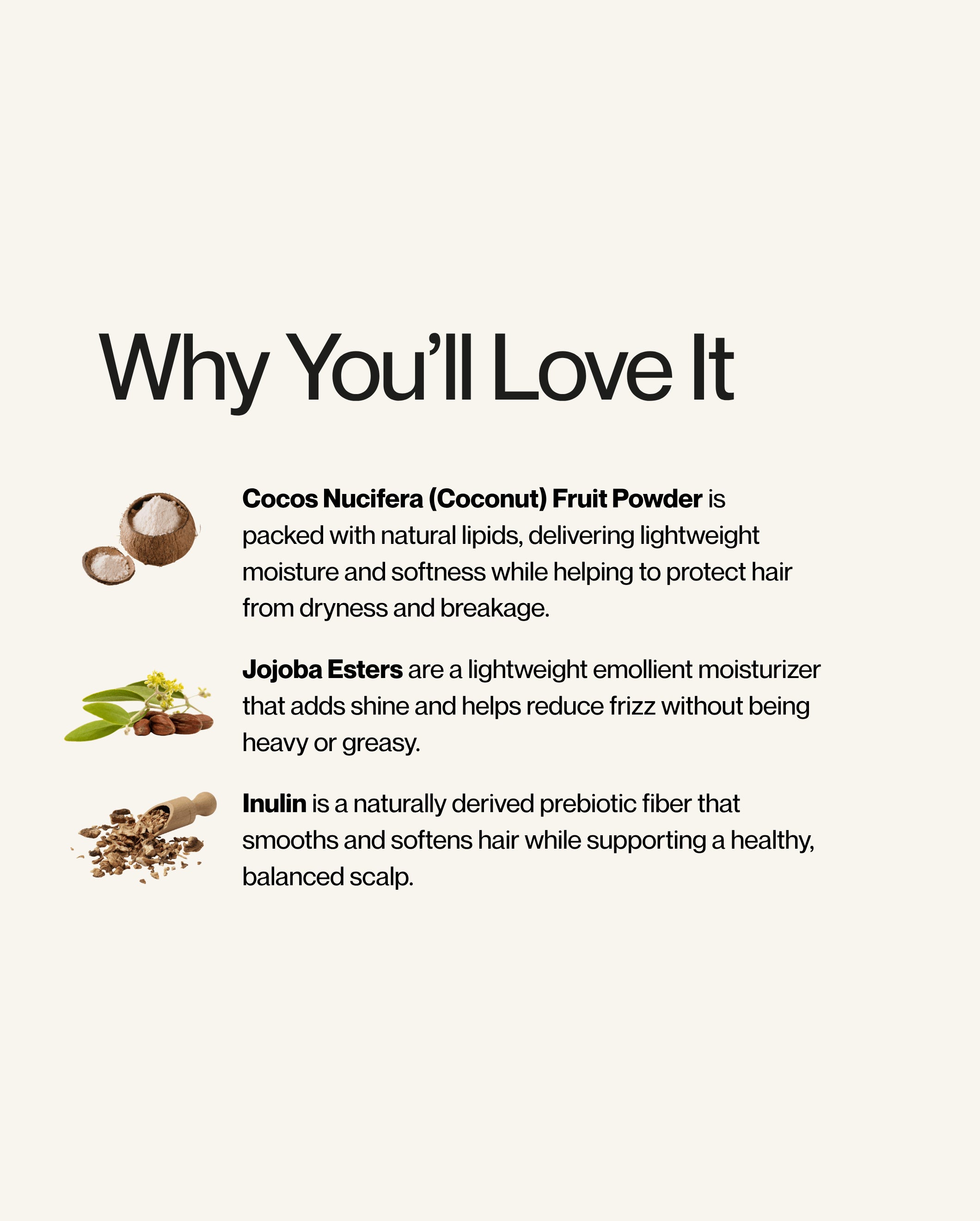 Blu & Green Daily Conditioner Concentrate featured ingredients graphic highlighting coconut fruit powder for moisture, jojoba esters for shine, and inulin for scalp balance.