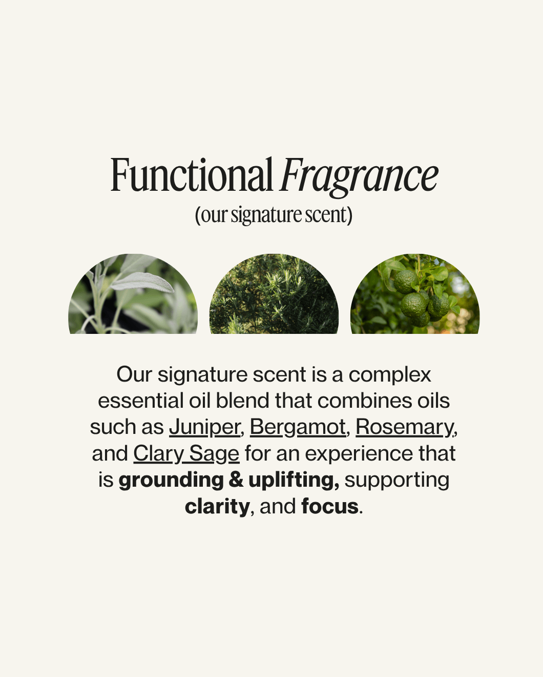 Blu & Green functional fragrance signature scent. An essential oil blend that includes juniper, bergamot, rosemary, and clary sage for a grounding, uplifting, and clarifying hair care experience
